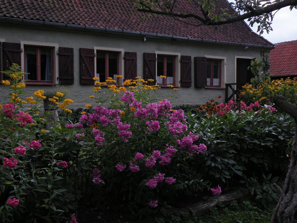 Letni Na Mazurach