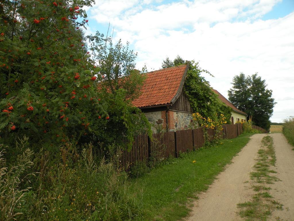 Letni Na Mazurach Sadry